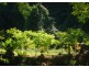 1824 Darkwood Road, Bellingen NSW 2454