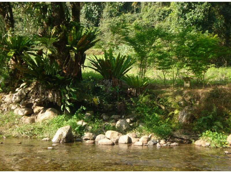1824 Darkwood Road, Bellingen NSW 2454