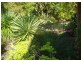 1824 Darkwood Road, Bellingen NSW 2454