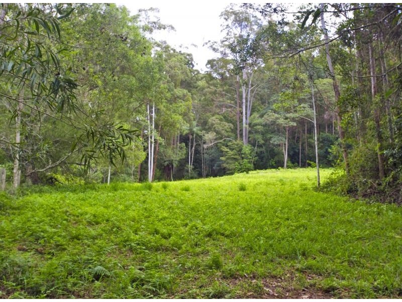 127 Cabans Road, Bellingen NSW 2454