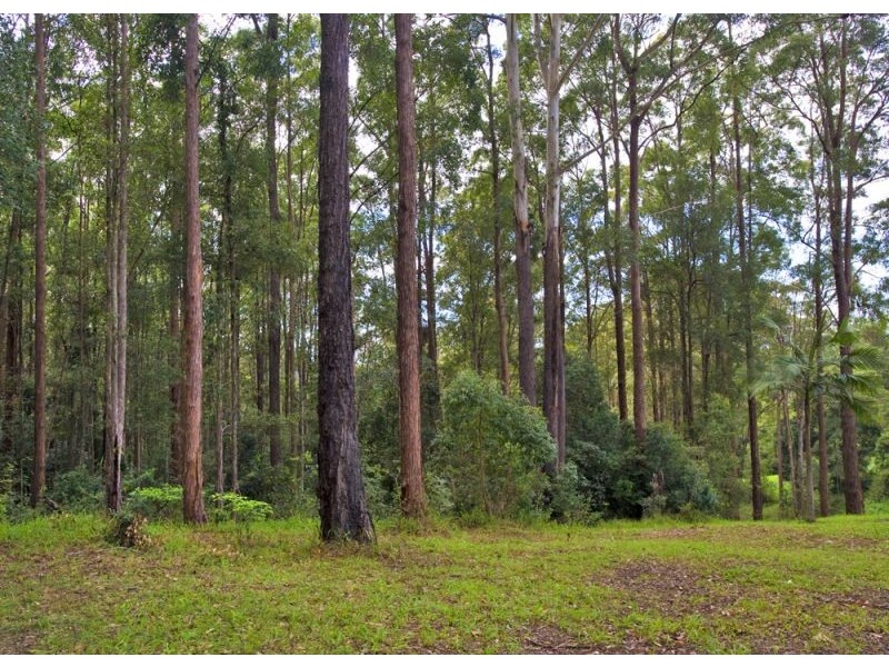 127 Cabans Road, Bellingen NSW 2454
