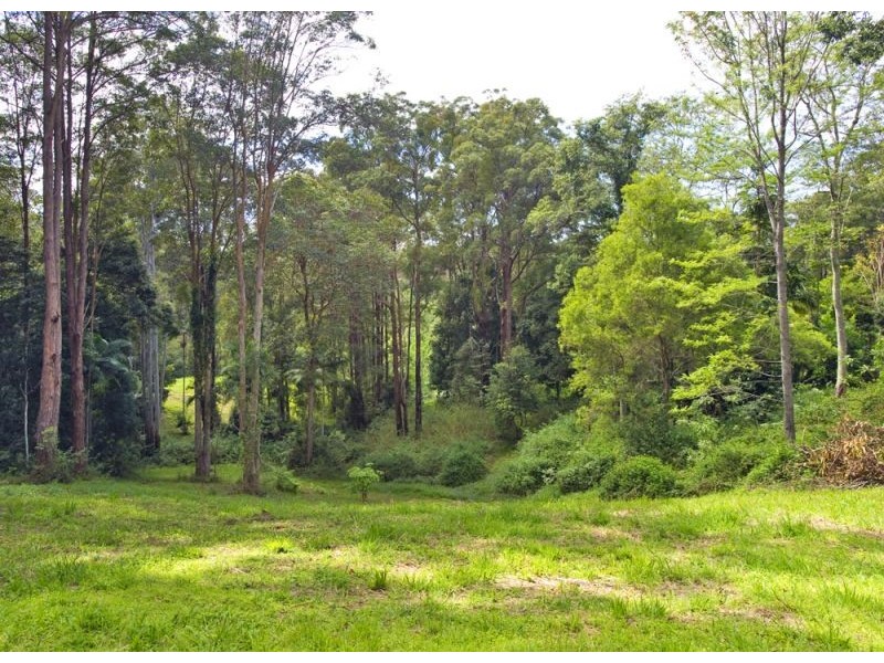 127 Cabans Road, Bellingen NSW 2454