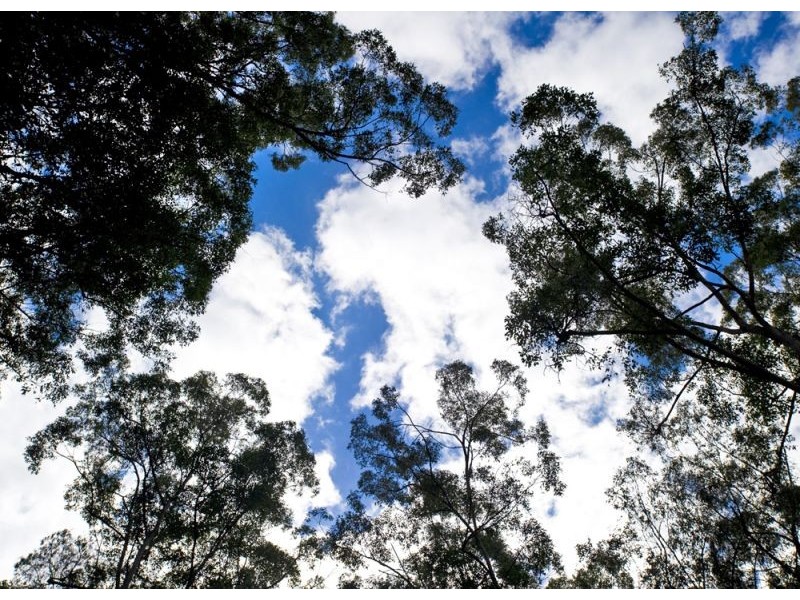 127 Cabans Road, Bellingen NSW 2454