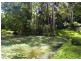 158G Gaudrons Road, Sapphire Beach NSW 2450