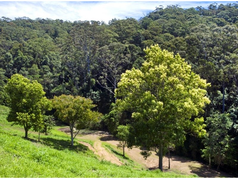 158G Gaudrons Road, Sapphire Beach NSW 2450