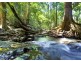 158G Gaudrons Road, Sapphire Beach NSW 2450