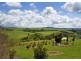 207 Maynards Plains Road, Dorrigo NSW 2453