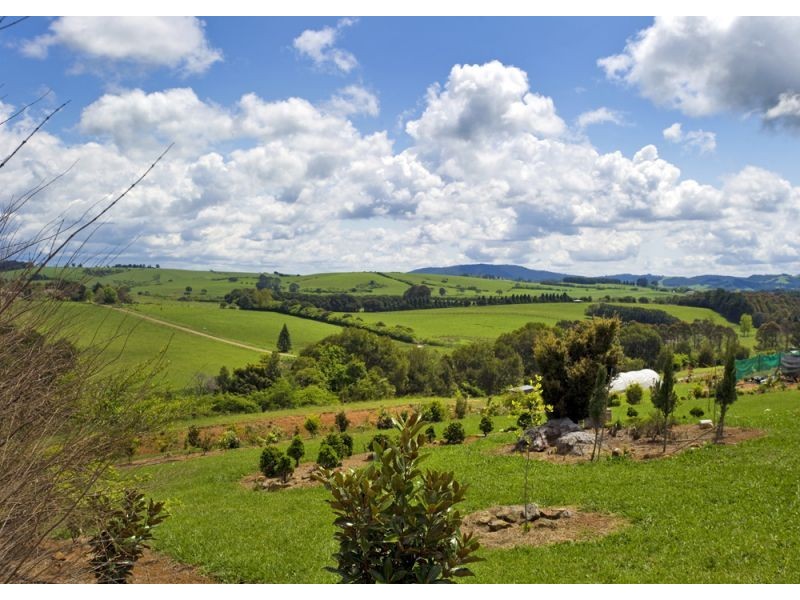 207 Maynards Plains Road, Dorrigo NSW 2453