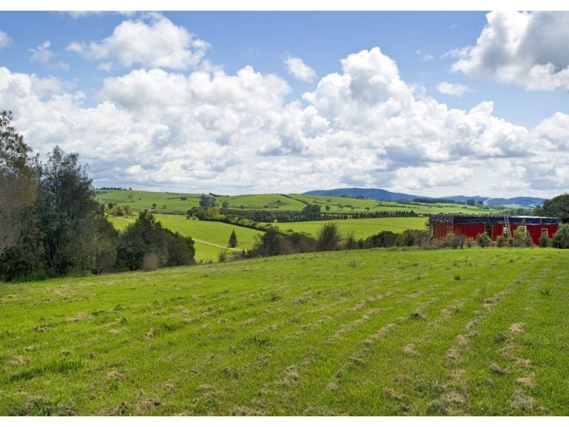 207 Maynards Plains Road, Dorrigo NSW 2453