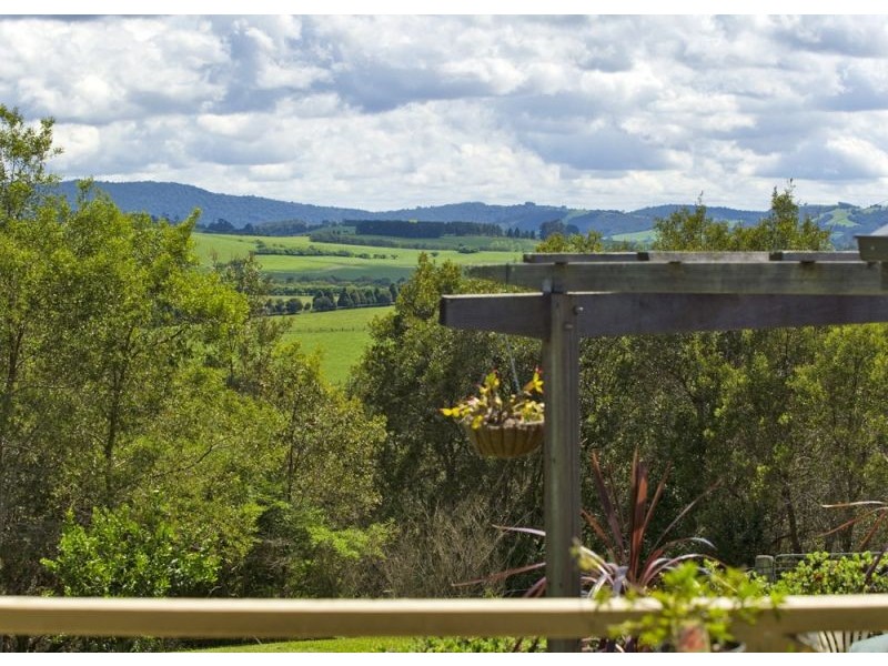 207 Maynards Plains Road, Dorrigo NSW 2453
