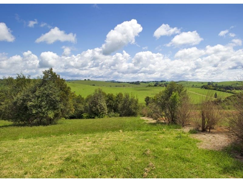 207 Maynards Plains Road, Dorrigo NSW 2453