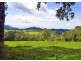 207 Maynards Plains Road, Dorrigo NSW 2453