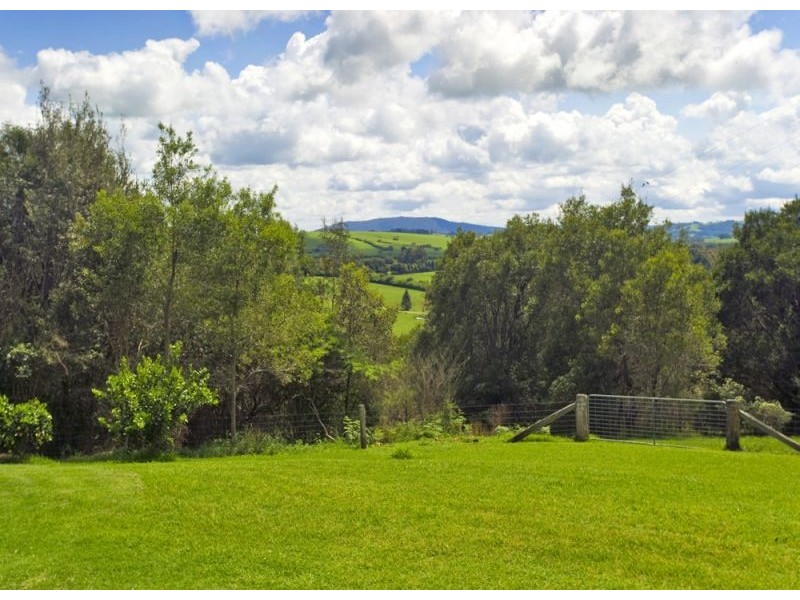 207 Maynards Plains Road, Dorrigo NSW 2453