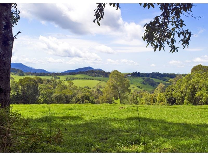 207 Maynards Plains Road, Dorrigo NSW 2453