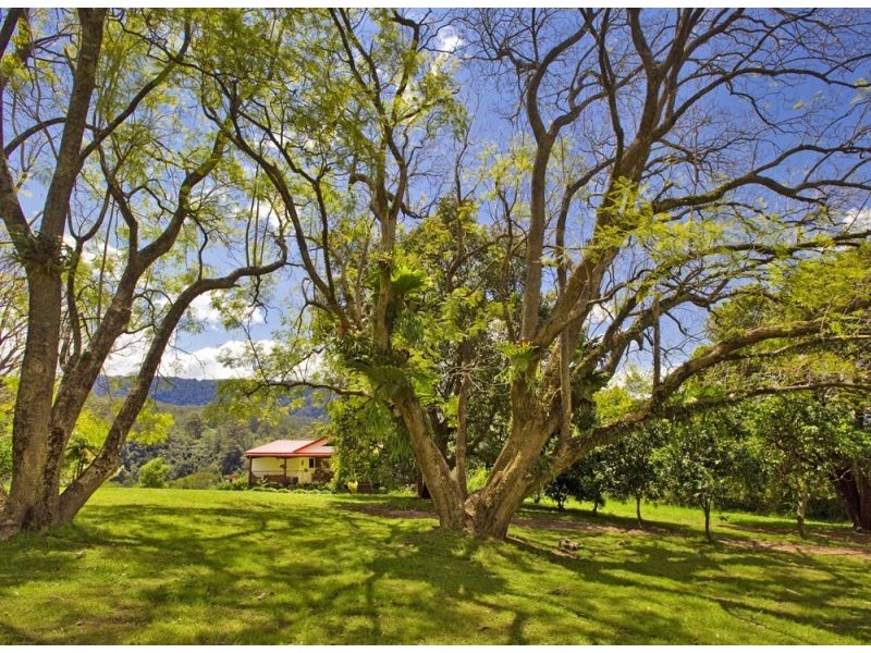 904 Darkwood Road, Bellingen NSW 2454