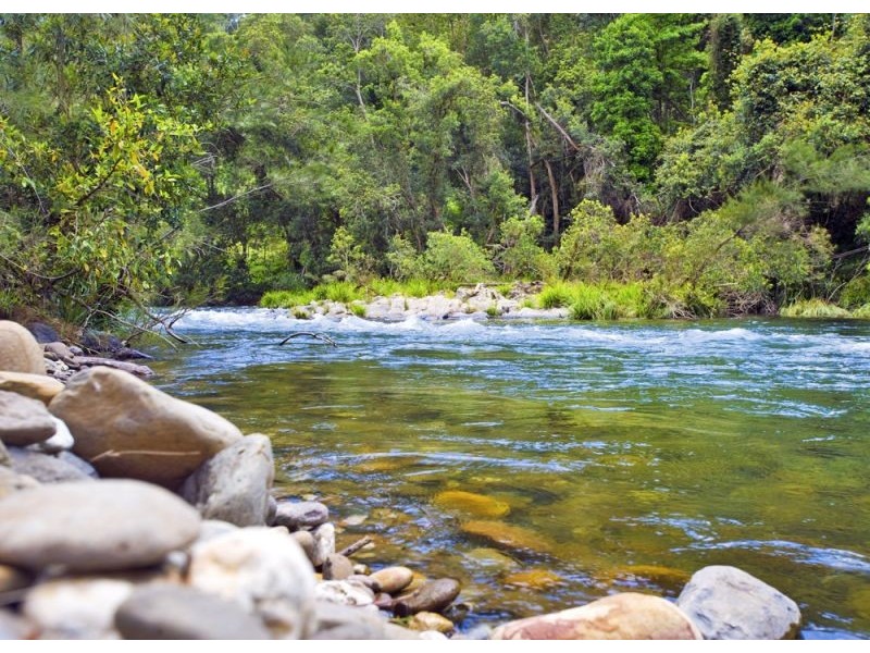 904 Darkwood Road, Bellingen NSW 2454