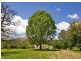 904 Darkwood Road, Bellingen NSW 2454