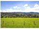 904 Darkwood Road, Bellingen NSW 2454