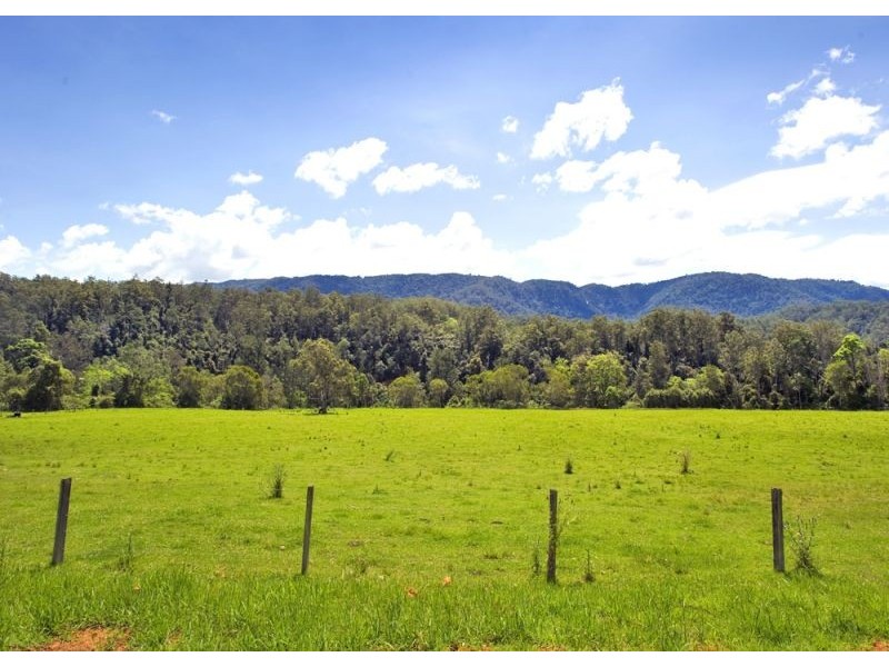 904 Darkwood Road, Bellingen NSW 2454