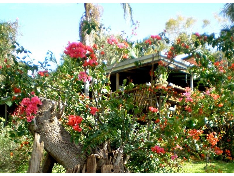 Lot 1 405 Goonengerry Road, Goonengerry, Mullumbimby NSW 2482