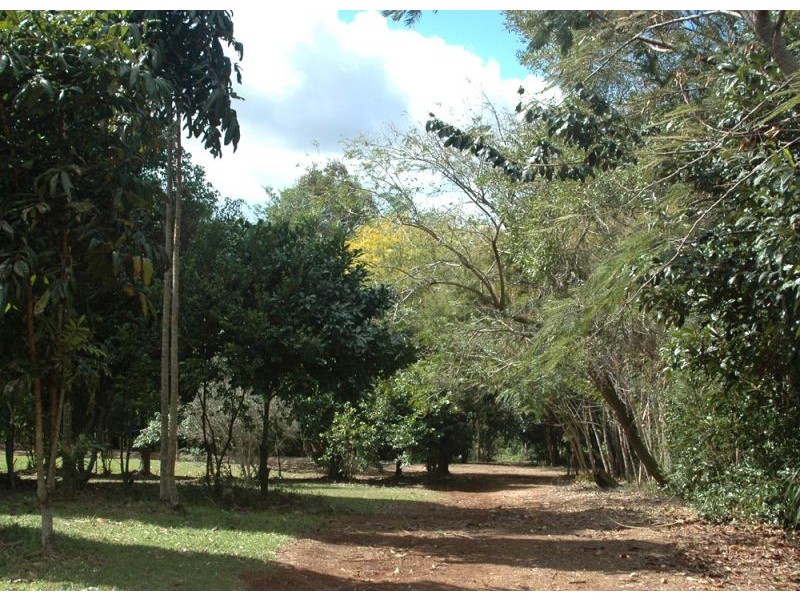 Lot 1 405 Goonengerry Road, Goonengerry, Mullumbimby NSW 2482