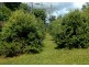 Lot 1 405 Goonengerry Road, Goonengerry, Mullumbimby NSW 2482