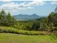 Mullumbimby NSW 2482