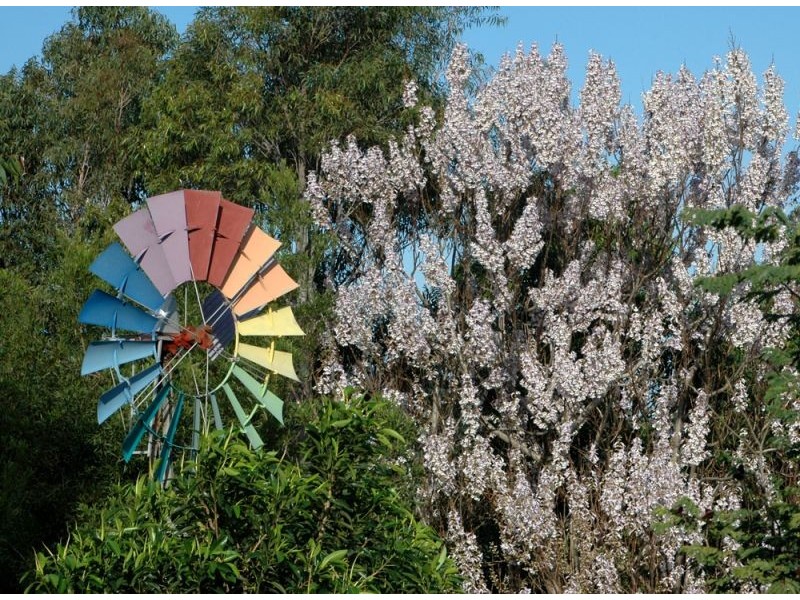 Mullumbimby NSW 2482