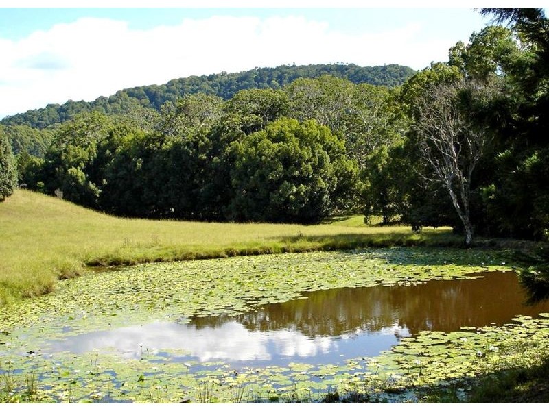 201 Middle Pocket Road, Billinudgel NSW 2483