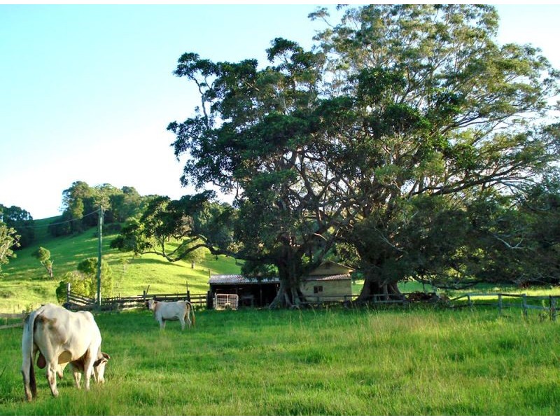 201 Middle Pocket Road, Billinudgel NSW 2483