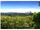 12 Braithwaite Avenue, Bellingen NSW 2454
