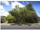 12 Braithwaite Avenue, Bellingen NSW 2454