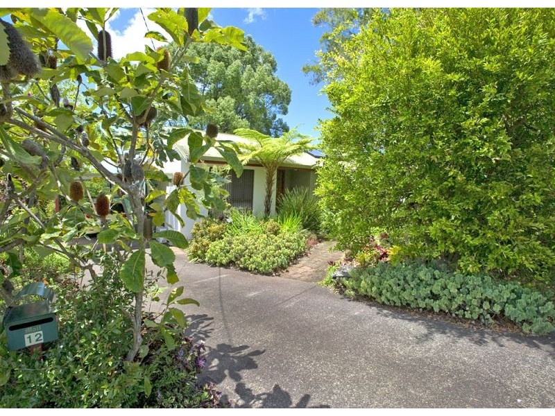12 Braithwaite Avenue, Bellingen NSW 2454
