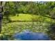 219 Cassidys Road, Bonville NSW 2441