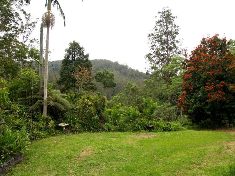 1824 Darkwood Road, Thora, Bellingen NSW 2454