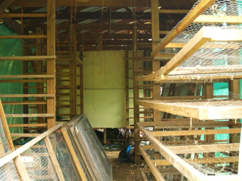 1824 Darkwood Road, Thora, Bellingen NSW 2454