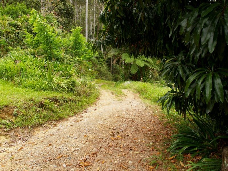 1824 Darkwood Road, Thora, Bellingen NSW 2454