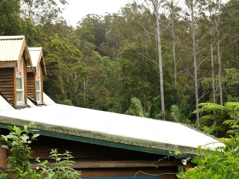 1824 Darkwood Road, Thora, Bellingen NSW 2454