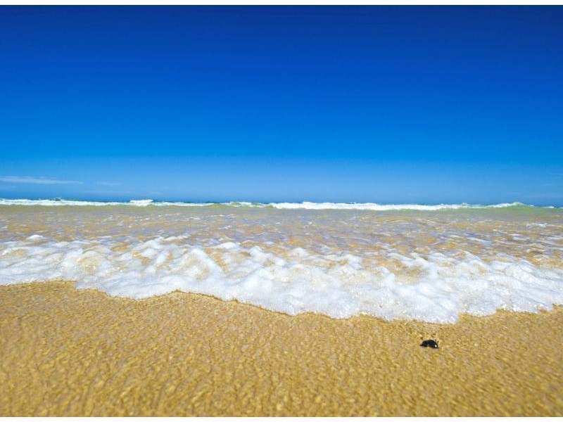 19 Beach Parade, Mylestom NSW 2454