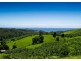 31 & 31A Gatelys Road, Coffs Harbour NSW 2450