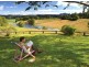Bellingen NSW 2454