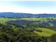 Dorrigo NSW 2453