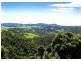 Dorrigo NSW 2453