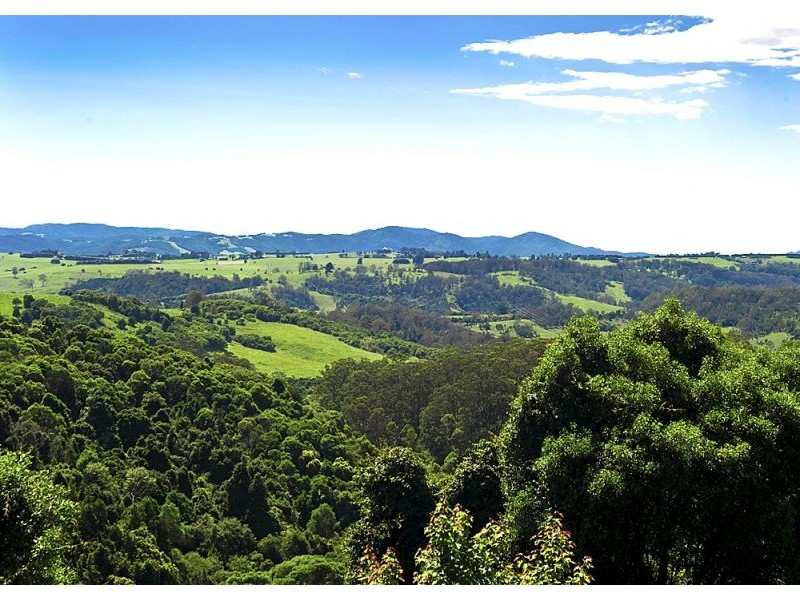 Dorrigo NSW 2453
