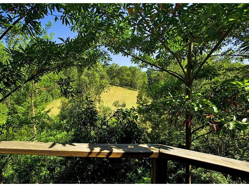 7 Scotchmans Road, Bellingen NSW 2454