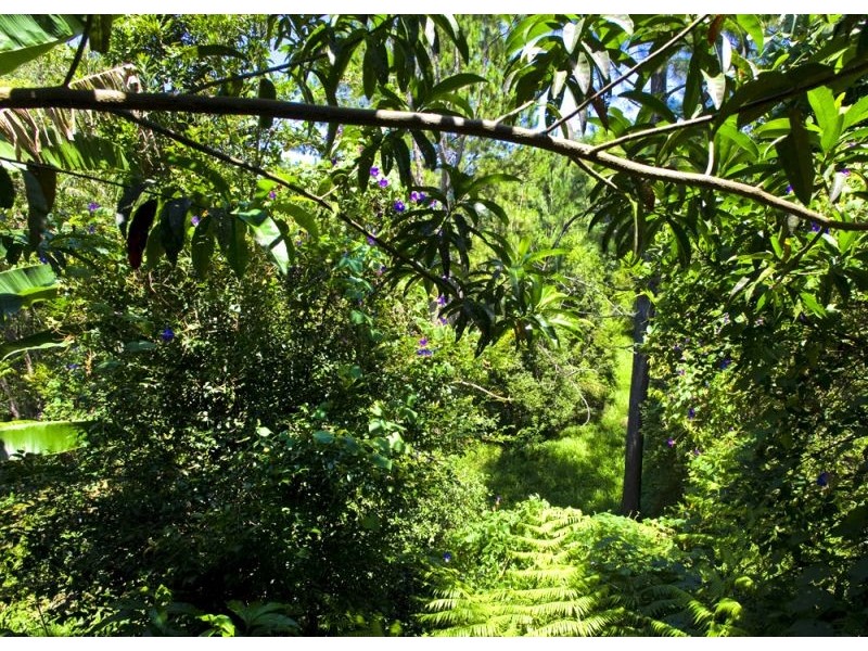 7 Scotchmans Road, Bellingen NSW 2454