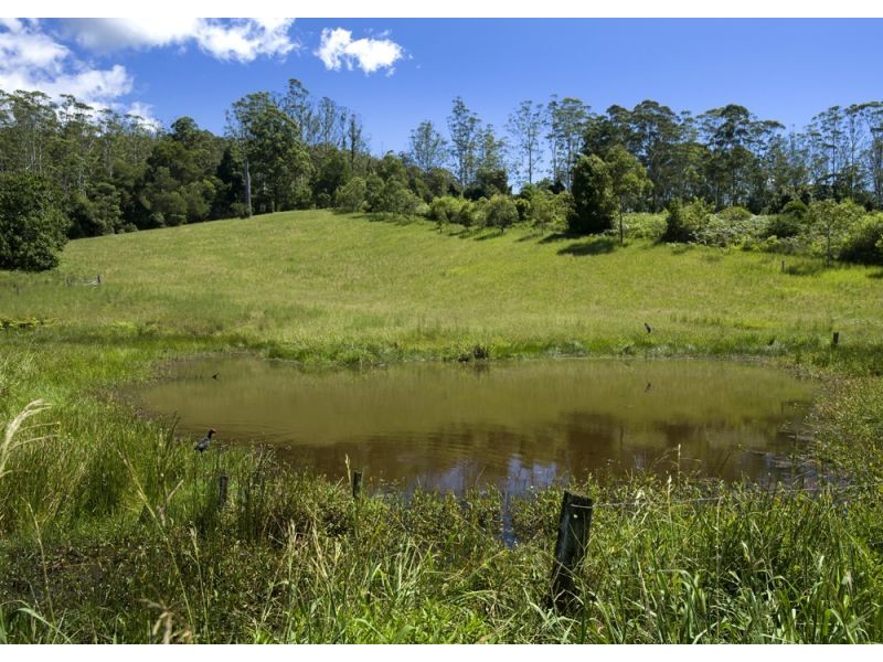 448 Gordonville Road, Bellingen NSW 2454