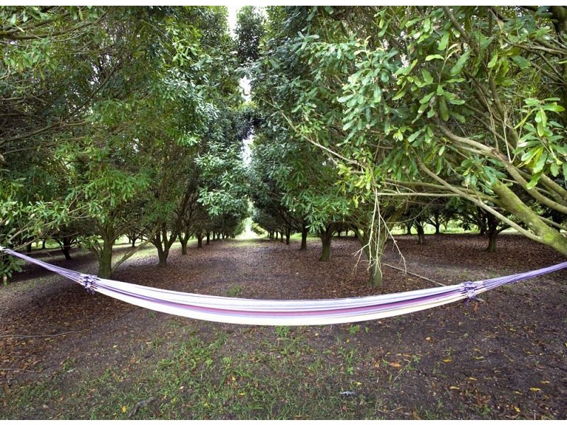 10 Osprey Drive, Urunga NSW 2455