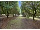 10 Osprey Drive, Urunga NSW 2455