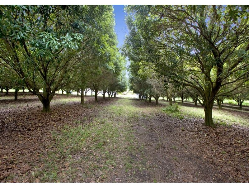 10 Osprey Drive, Urunga NSW 2455
